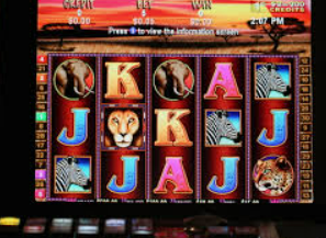 星空电竞app桌面版客户端